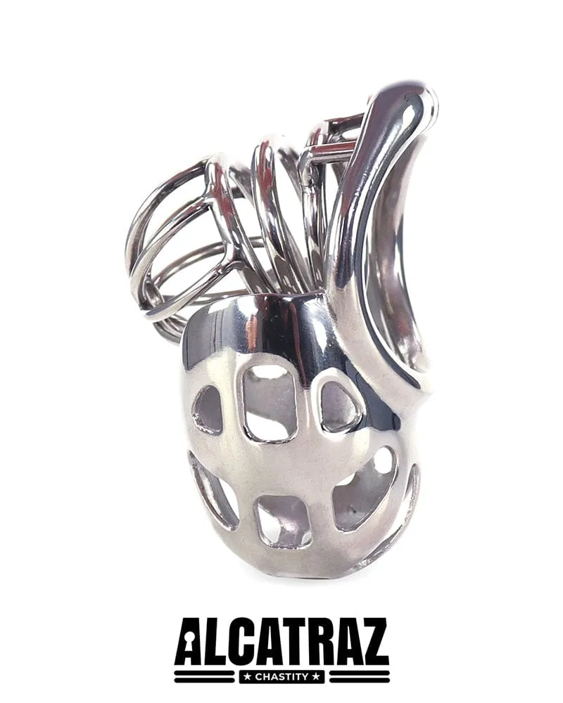 0995AR      Balls and All Full Coverage Locking Steel Chastity Device, 2" Cock Ring - MEGA Deal