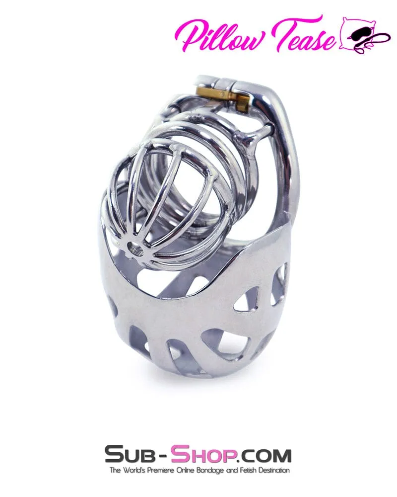 0995AR      Balls and All Full Coverage Locking Steel Chastity Device, 2" Cock Ring - MEGA Deal