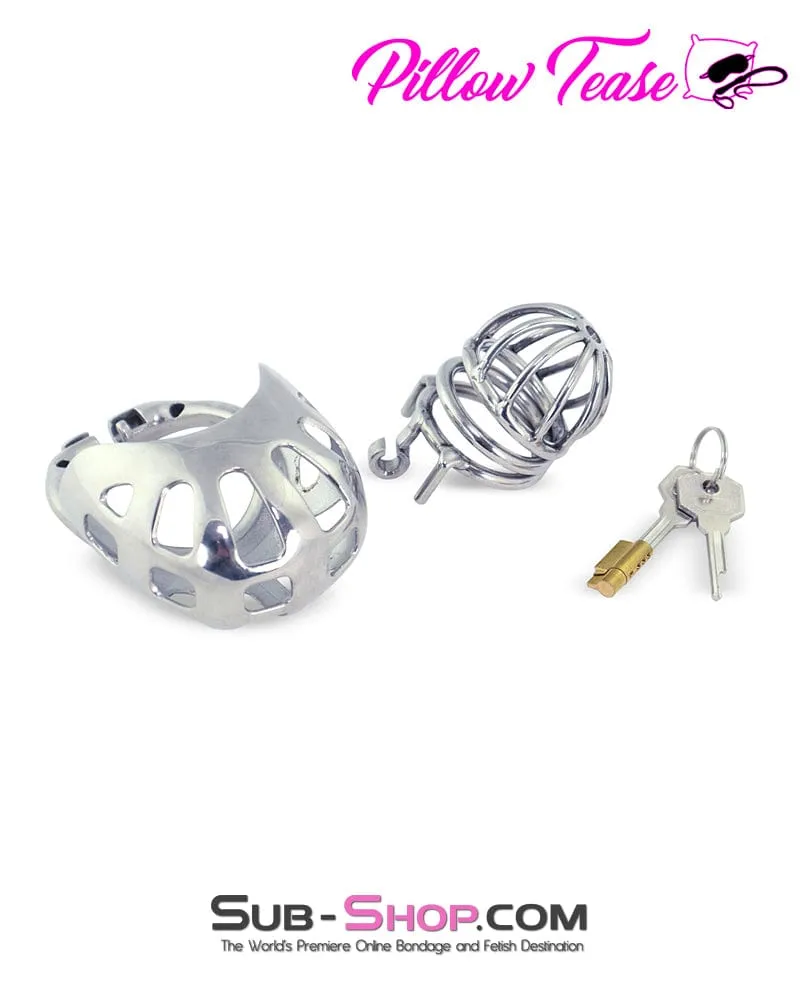 0995AR      Balls and All Full Coverage Locking Steel Chastity Device, 2" Cock Ring - MEGA Deal