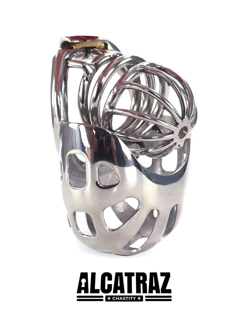 0995AR      Balls and All Full Coverage Locking Steel Chastity Device, 2" Cock Ring - MEGA Deal